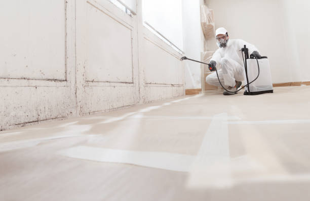24/7 Emergency Mold Remediation experts in Oak Ridge, NC