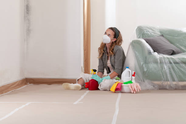 Reliable Mold Remediation contractor in Oak Ridge, NC by WQB Mold Removal